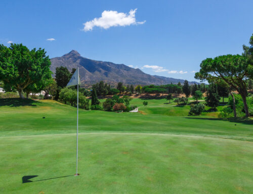 TINO sponsors the Charity Golf Tournament of Horizonte Proyecto Hombre at Aloha Golf Club